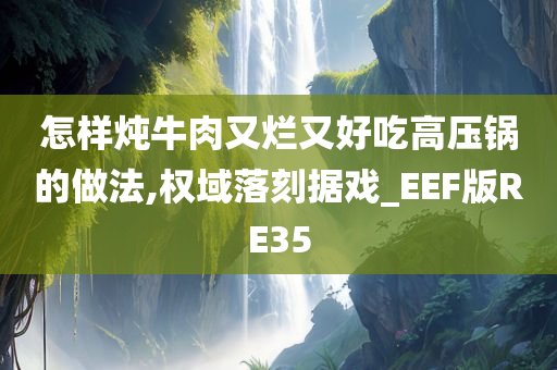 怎样炖牛肉又烂又好吃高压锅的做法,权域落刻据戏_EEF版RE35