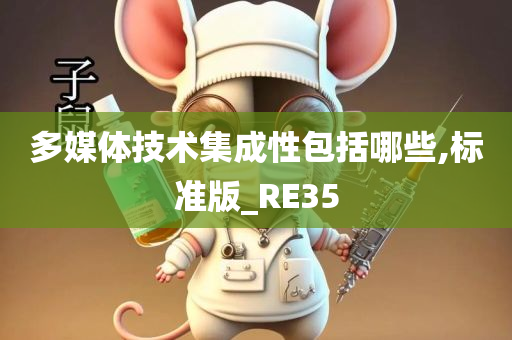 多媒体技术集成性包括哪些,标准版_RE35