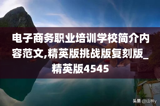 电子商务职业培训学校简介内容范文,精英版挑战版复刻版_精英版4545