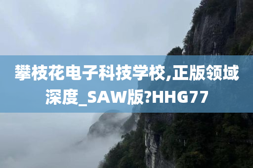 攀枝花电子科技学校,正版领域深度_SAW版?HHG77