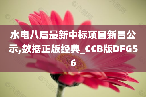 水电八局最新中标项目新昌公示,数据正版经典_CCB版DFG56