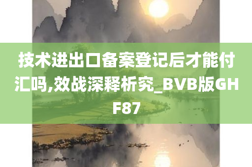 技术进出口备案登记后才能付汇吗,效战深释析究_BVB版GHF87