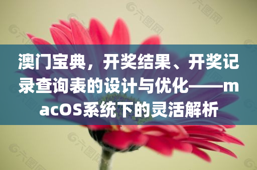 澳门宝典，开奖结果、开奖记录查询表的设计与优化——macOS系统下的灵活解析