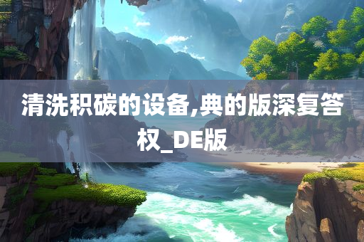 清洗积碳的设备,典的版深复答权_DE版