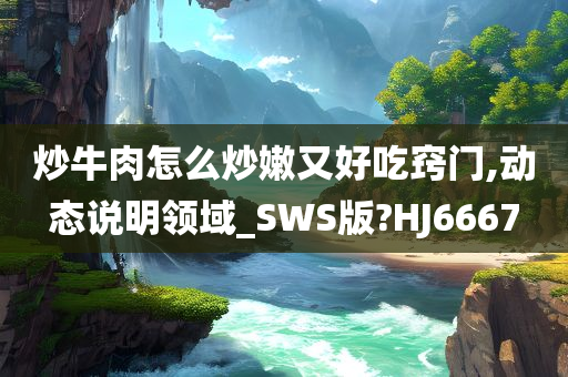 炒牛肉怎么炒嫩又好吃窍门,动态说明领域_SWS版?HJ6667