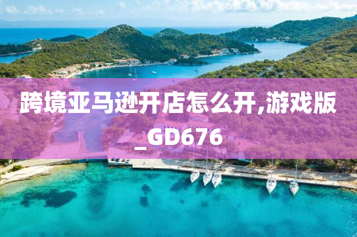 跨境亚马逊开店怎么开,游戏版_GD676