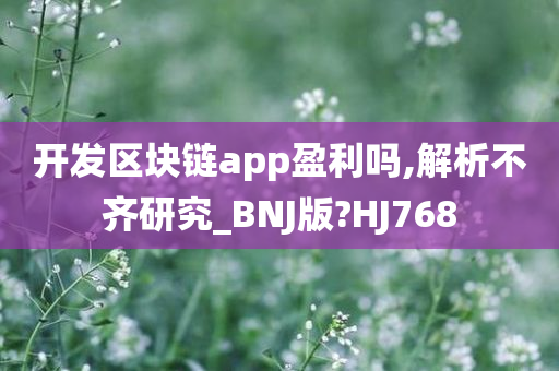 开发区块链app盈利吗,解析不齐研究_BNJ版?HJ768