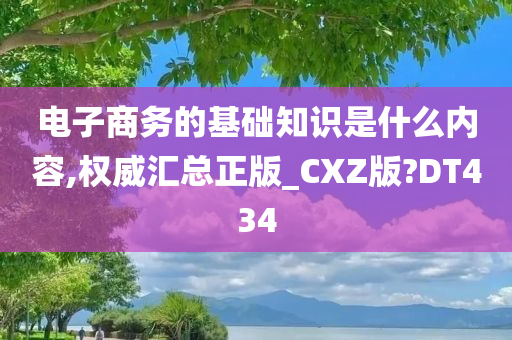 电子商务的基础知识是什么内容,权威汇总正版_CXZ版?DT434