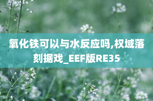 氧化铁可以与水反应吗,权域落刻据戏_EEF版RE35