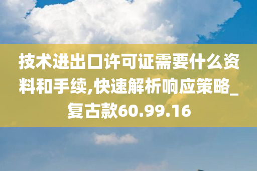 技术进出口许可证需要什么资料和手续,快速解析响应策略_复古款60.99.16