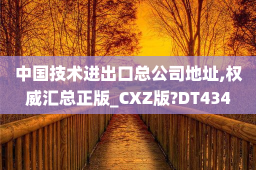 中国技术进出口总公司地址,权威汇总正版_CXZ版?DT434