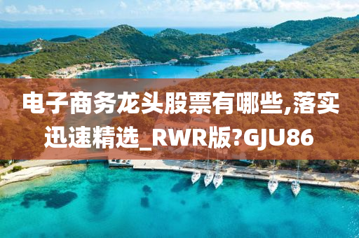 电子商务龙头股票有哪些,落实迅速精选_RWR版?GJU86