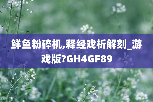 鲜鱼粉碎机,释经戏析解刻_游戏版?GH4GF89