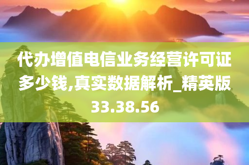 代办增值电信业务经营许可证多少钱,真实数据解析_精英版33.38.56