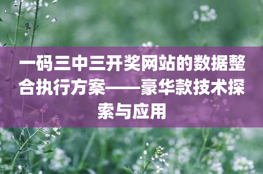 一码三中三开奖网站的数据整合执行方案——豪华款技术探索与应用