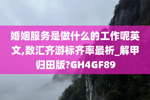 婚姻服务是做什么的工作呢英文,数汇齐游标齐率最析_解甲归田版?GH4GF89