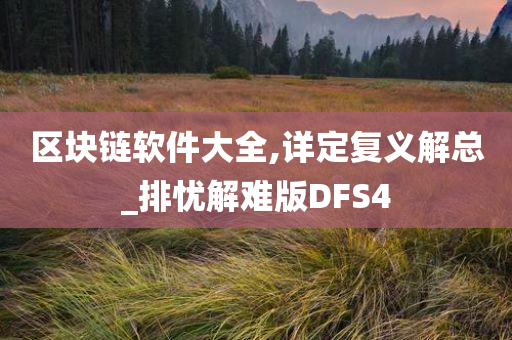 区块链软件大全,详定复义解总_排忧解难版DFS4