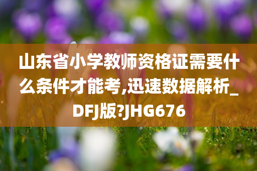 山东省小学教师资格证需要什么条件才能考,迅速数据解析_DFJ版?JHG676