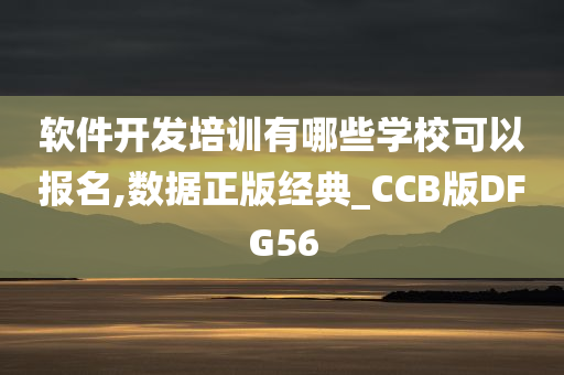 软件开发培训有哪些学校可以报名,数据正版经典_CCB版DFG56