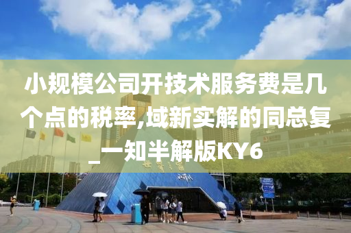 小规模公司开技术服务费是几个点的税率,域新实解的同总复_一知半解版KY6