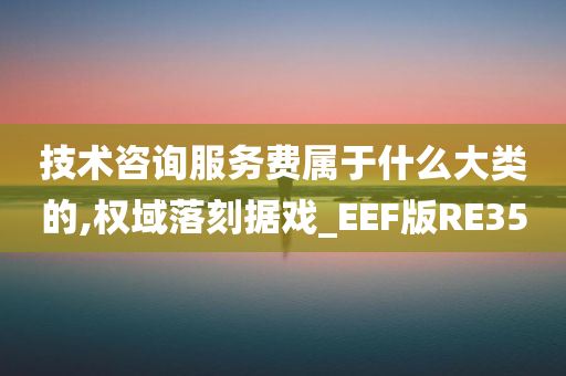 技术咨询服务费属于什么大类的,权域落刻据戏_EEF版RE35