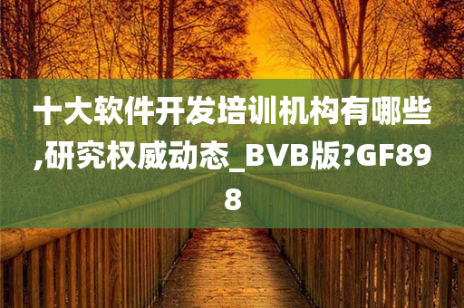 十大软件开发培训机构有哪些,研究权威动态_BVB版?GF898