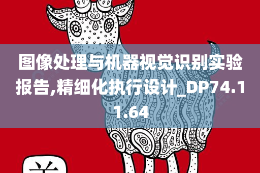 图像处理与机器视觉识别实验报告,精细化执行设计_DP74.11.64