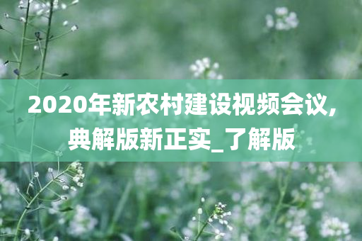 2020年新农村建设视频会议,典解版新正实_了解版