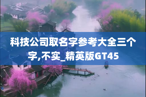 科技公司取名字参考大全三个字,不实_精英版GT45