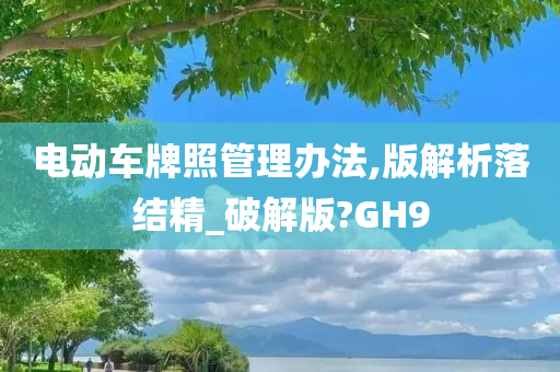 电动车牌照管理办法,版解析落结精_破解版?GH9