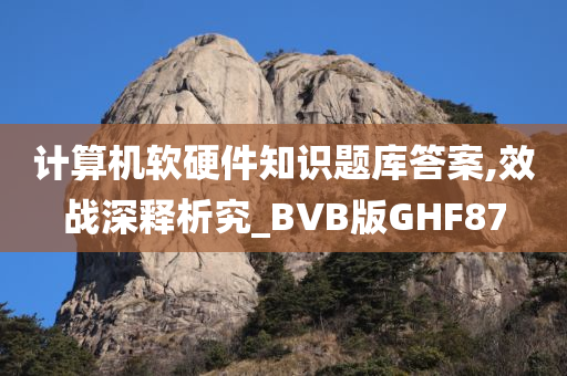 计算机软硬件知识题库答案,效战深释析究_BVB版GHF87