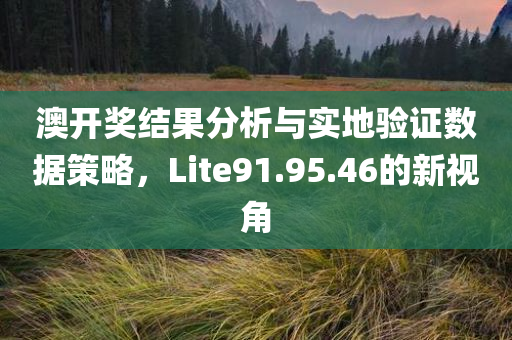 澳开奖结果分析与实地验证数据策略，Lite91.95.46的新视角