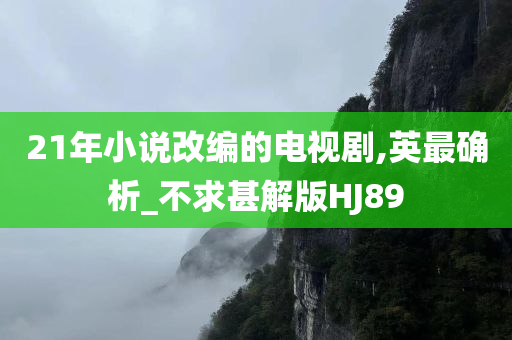 21年小说改编的电视剧,英最确析_不求甚解版HJ89