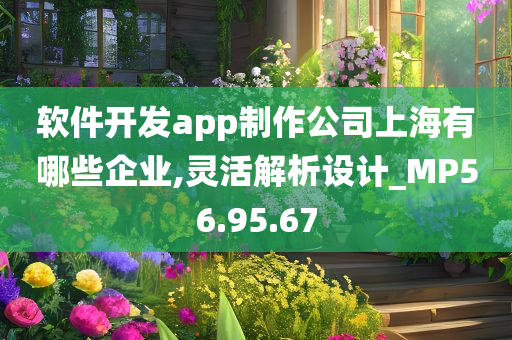 软件开发app制作公司上海有哪些企业,灵活解析设计_MP56.95.67