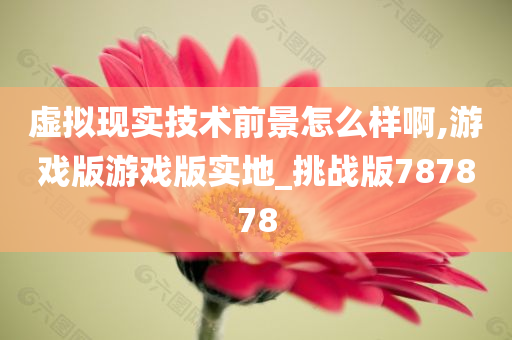 虚拟现实技术前景怎么样啊,游戏版游戏版实地_挑战版787878