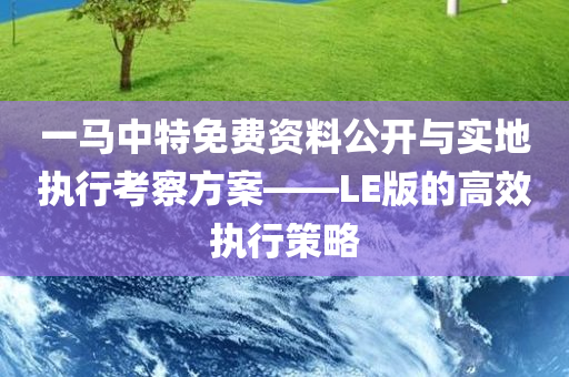 一马中特免费资料公开与实地执行考察方案——LE版的高效执行策略