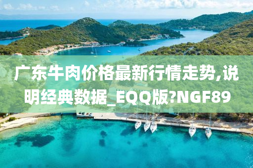 广东牛肉价格最新行情走势,说明经典数据_EQQ版?NGF89