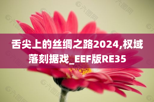 舌尖上的丝绸之路2024,权域落刻据戏_EEF版RE35