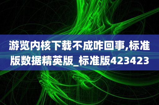 游览内核下载不成咋回事,标准版数据精英版_标准版423423