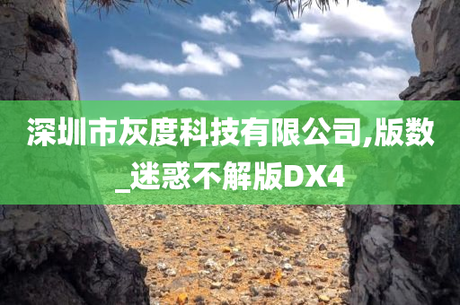 深圳市灰度科技有限公司,版数_迷惑不解版DX4