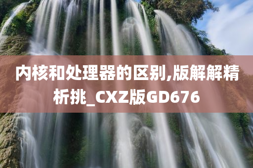 内核和处理器的区别,版解解精析挑_CXZ版GD676