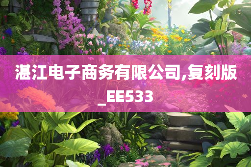 湛江电子商务有限公司,复刻版_EE533