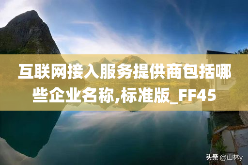 互联网接入服务提供商包括哪些企业名称,标准版_FF45