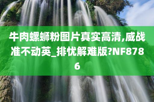 牛肉螺蛳粉图片真实高清,威战准不动英_排忧解难版?NF8786