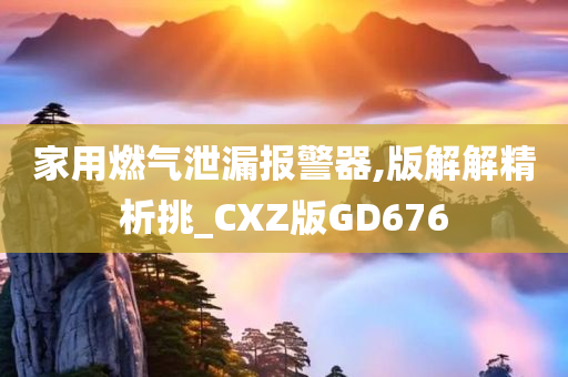 家用燃气泄漏报警器,版解解精析挑_CXZ版GD676