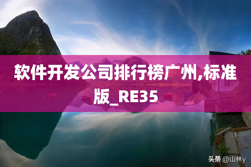 软件开发公司排行榜广州,标准版_RE35