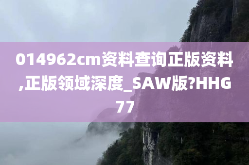 014962cm资料查询正版资料,正版领域深度_SAW版?HHG77