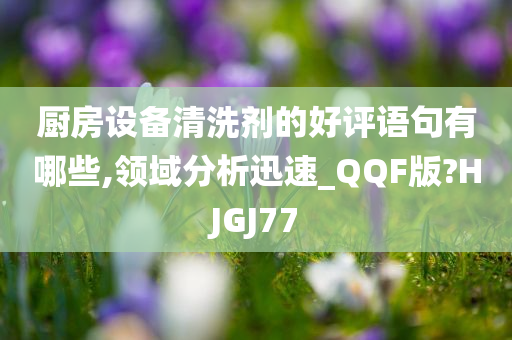 厨房设备清洗剂的好评语句有哪些,领域分析迅速_QQF版?HJGJ77