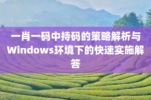 一肖一码中持码的策略解析与Windows环境下的快速实施解答