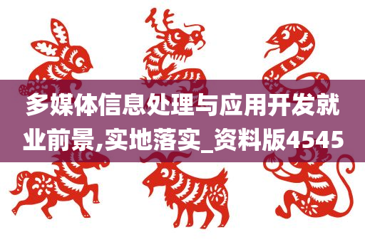 多媒体信息处理与应用开发就业前景,实地落实_资料版4545